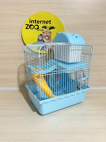 Хомяки: Продаются хомячки джунгарские, сирийские, ангорские пушистые хомячки — 27