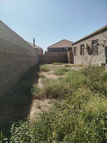 Daşınmaz əmlak: Hasarlanmış həyətyanı torpaq sahəsi - Daş hasarla tam əhatələnmiş — 1