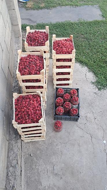 Малина: Малина — 10