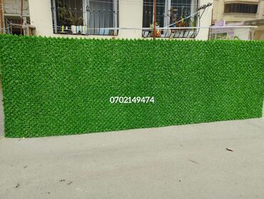 Digər tikinti materialları: Həyətinə yaşıl toxunuş ver! 🌿 Yaşıl hasar & çəpər – həm gözəl, həm