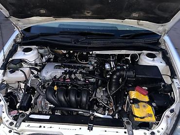 мустанг лошадь цена: Toyota Caldina: 2005 г., 1.8 л, Газ, Универсал — 6