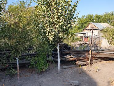 продаю или меняю на: Дрова Самовывоз