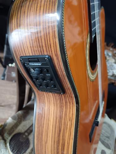elekt: Washburn elektro-klasik gitara - Brend/model: Washburn klassik gövdə — 2