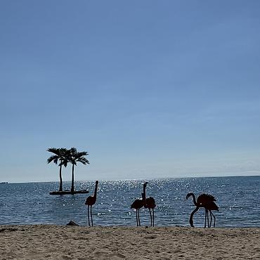 act building: Коттедж, Palm Beach, Чок-Тал, 4 места — 9