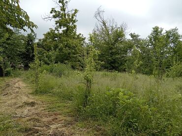 Torpaq sahələrinin satışı: 6 sot, Tikinti, Barter mümkündür, Kupça (Çıxarış) -da lalafo.az — 10 Torpaq sahələrinin satışı: 6 sot, Tikinti, Barter mümkündür, Kupça (Çıxarış) — 10