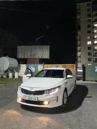 задние фары ниссан примера: Kia Optima: 2017 г., 2 л, Автомат, Газ, Седан