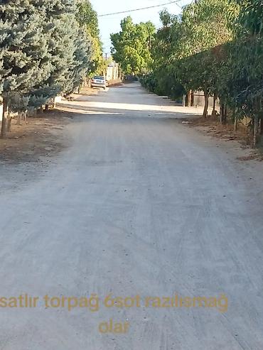 türkanda ev: 6 sot, Tikinti, Mülkiyyətçi, Bələdiyyə — 2