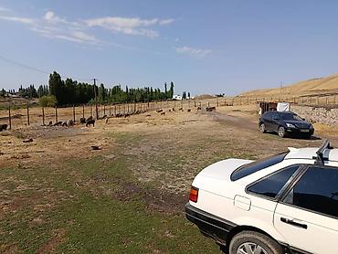степной: Farm КРС, 1 соток, Действующий, Без оборудования, Электричество — 8
