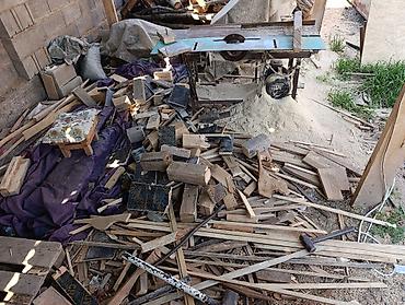 Дрова: Дрова Сосна — 19