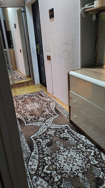 oguzda kiraye evler: 2 otaqlı, Yeni tikili, 43 kv. m — 2