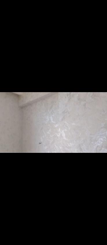 Divar kağızları, oboy: Aboy ustası malyar ustası malyar işləri görürük cəld və gözəl iş — 4