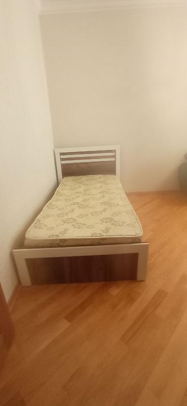 üzüm ağacı: Tək nəfərlik taxta çarpayı və döşək dəsti - Ölçü: tək nəfərlik — 1