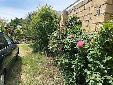 Torpaq sahələrinin satışı: 6 sot, Tikinti, Kupça (Çıxarış) -da lalafo.az — 13 Torpaq sahələrinin satışı: 6 sot, Tikinti, Kupça (Çıxarış) — 13