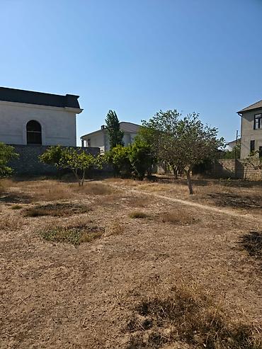 albali: 8 sot, Mülkiyyətçi, Kupça (Çıxarış) — 4