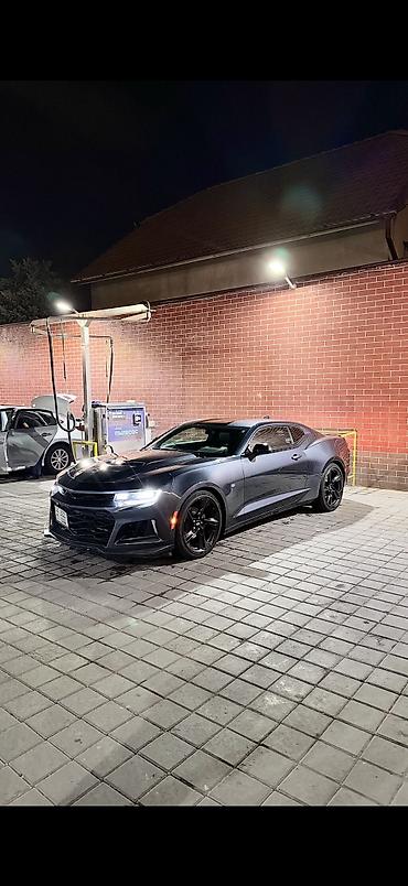 dodge challanger: Chevrolet Camaro: 2023 г., 2 л, Автомат, Бензин — 1
