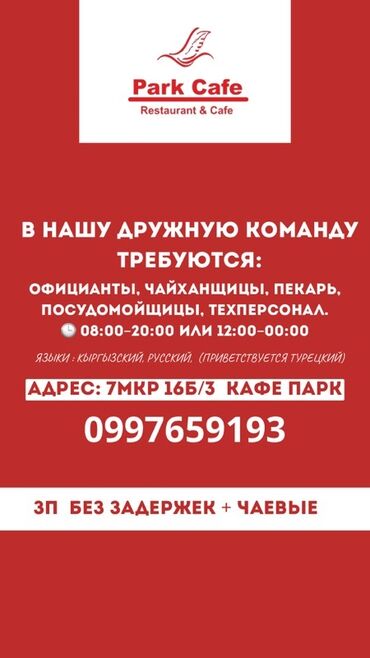 работа помощник официанта: Требуется Помощник повара : Горячий цех, Турецкая кухня, Без опыта