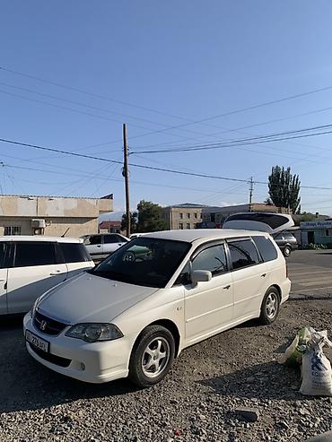 фары odyssey: Honda Odyssey: 2001 г., 2.3 л, Автомат, Бензин, Универсал — 1