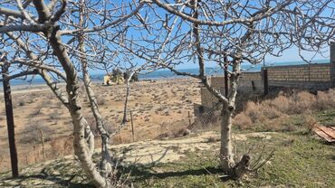 Torpaq sahələrinin satışı: 6 sot, Tikinti, Mülkiyyətçi, Kupça (Çıxarış), Müqavilə