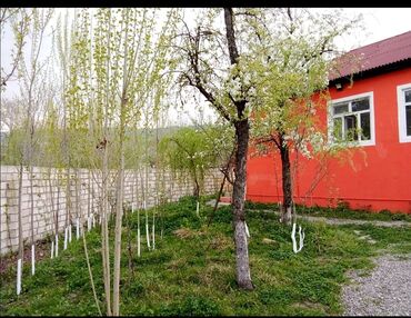 Günlük kirayə evlər: 90 kv. m, 3 otaqlı, Telefon, Qaz, İşıq — 26