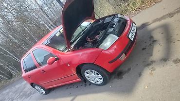 Skoda: Skoda Fabia: 2001 г., 1.4 л, Механика, Бензин, Хэтчбэк — 6