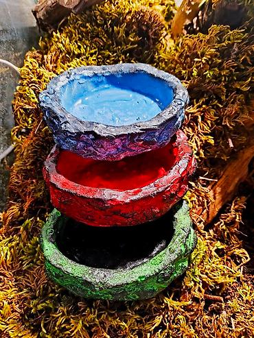 Зоотовары: 🌿 Украшения и декорации для аквариумов и террариумов 🌿 Продаю — 6