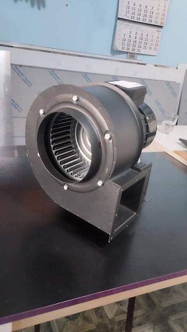 vintilyator satışı: Fan, ilbiz (ulitqa) və havalandırma motorlarının topdan və pərakəndə — 4