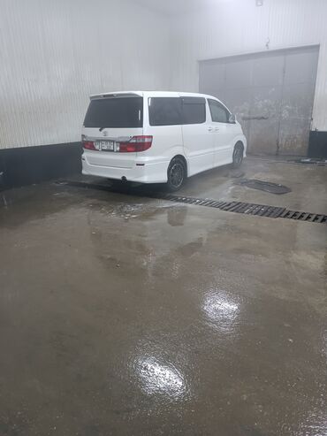 колф 3: Toyota Alphard: 2005 г., 3 л, Газ