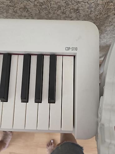 casio sintezator: Casio rəqəmsal pianino – 88 klaviş, tam ölçülü - Marka/model: Casio — 3