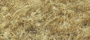 fatmai: 8 sot, Tikinti, Mülkiyyətçi, Kupça (Çıxarış) — 5