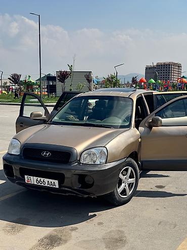 Hyundai: Hyundai Santa Fe: 2003 г., 2.7 л, Автомат, Газ, Внедорожник — 8
