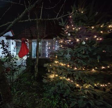 Bağ evlərinin kirayəsi: 255 kv. m, 4 otaqlı, Hovuzlu, Qaz — 2