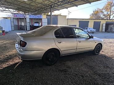 maxxis 980: Nissan Primera: 2001 г., 1.8 л, Механика, Бензин, Седан — 3