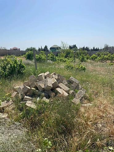 Torpaq: 12 sot, Tikinti, Mülkiyyətçi, Kupça (Çıxarış) — 1