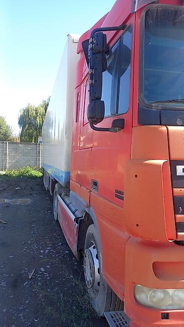 Тягачи: Тягач, DAF, Холодильник, рефрижератор — 5