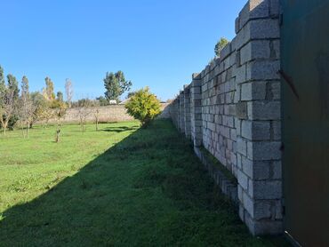 Torpaq sahələrinin satışı: Kənd təsərrüfatı — 17