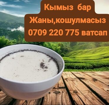 купить маринованное мясо для шашлыка: Алайкуунун кымызы