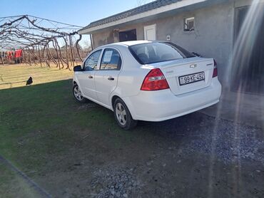 Chevrolet: Chevrolet Aveo: 1.4 l | 2011 il 295376 km Sedan