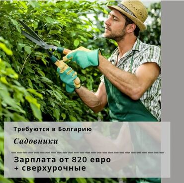 Работа за границей: Садовники в болгарию зарплата от 820 евро г. София контракт от 1