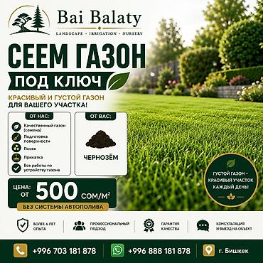Профессиональный посев газона «под ключ» от Bai Balaty Что получите