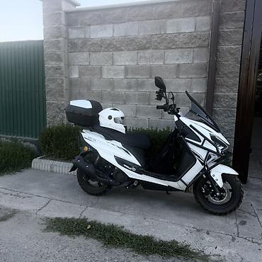 скутер zmax: Новый обкатку проехал Скутер Storm max ADV 150 (модель на шильдике — 4