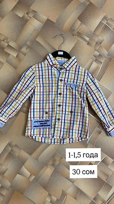 Топы и рубашки: Рубашка — 1