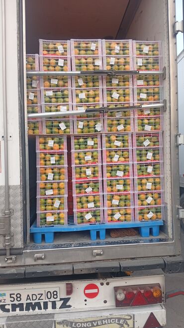 сдам контейнер: Мандариндер Дүңүнөн