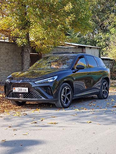tesla pi: Hozon Neta L: 2024 г., 1.5 л, Автомат, Гибрид, Кроссовер — 1