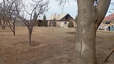 Продажа участков: 25 соток — 13