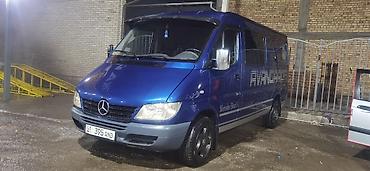 гурзо: Mercedes-Benz Спринтер: 2005 г., 2.7 л, Автомат, Бус — 6