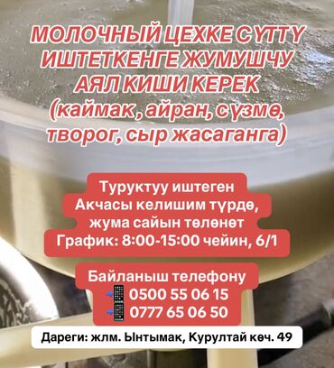 Другие специальности: ТЕЗ АРАДА МОЛОЧНЫЙ ЦЕХКЕ СҮТТҮ ИШТЕТКЕНГЕ ЖУМУШЧУ АЯЛ КИШИ КЕРЕК ‼️