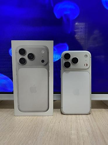Apple iPhone: IPhone 17 Pro, Б/у, 256 ГБ, Серебристый, Зарядное устройство, Защитное стекло, Чехол, 100 % — 8
