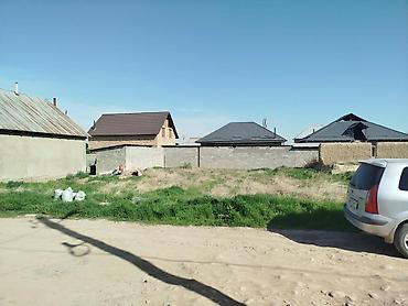 алла тоо: 4 соток, Курулуш, Кызыл китеп — 1