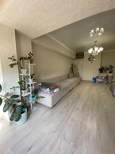 Продажа квартир: 2 комнаты, 52 м², Индивидуалка, 5 этаж, Косметический ремонт at lalafo.kg — 2 Продажа квартир: 2 комнаты, 52 м², Индивидуалка, 5 этаж, Косметический ремонт — 2