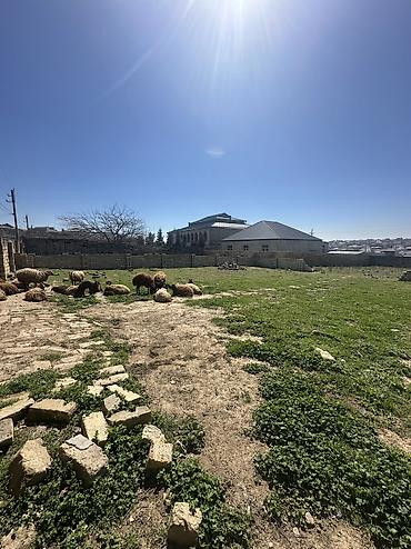 a frame: 6 sot, Tikinti, Maklerlər narahat etməsin, Kupça (Çıxarış) — 4